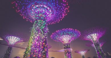 การ์เด้นส์ บาย เดอะ เบย์ Gardens by the Bay Singaporeaddict ชีวิตติดเที่ยว สิงคโปร์ 650 x 365